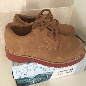Toddler boys Sperry suede bucks